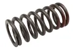 97210682 - : F Spring for GM Image