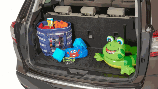 Cargo Tray / Ascent - Subaru (J501SXC100)