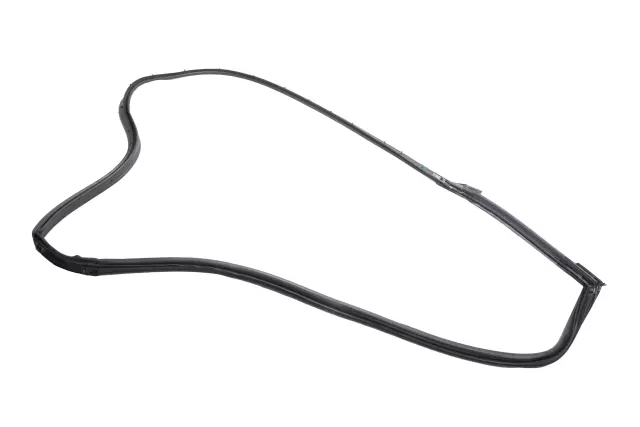 Door Weather-Strip - GM (84188472)