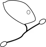 282083EV2A - Electrical: Antenna Assembly for INFINITI: FX35, FX37, FX50, QX70 Image