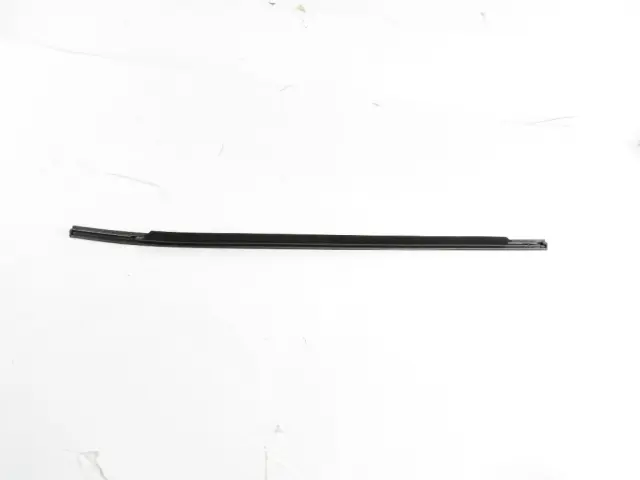 Front Door Belt Outer Weatherstrip, Right - Mopar (68363236AC)
