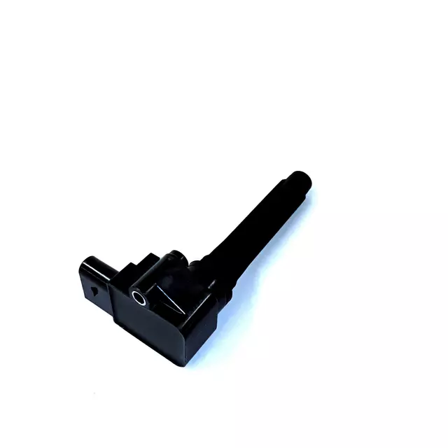 79905110P - : Ignition Coil for Audi: A8 Quattro, RS7, S6, S7, S8 Image