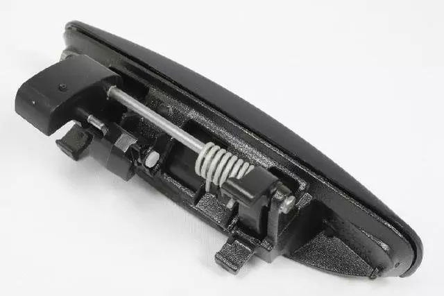 Exterior Door Handle, Right - Mopar (1MZ80KBXAG)