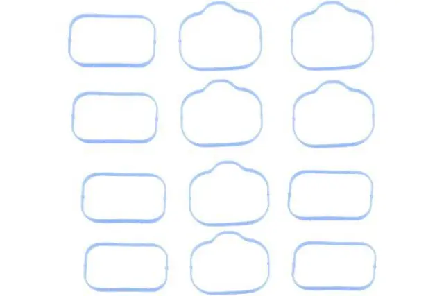 CY1420930 - Gaskets: Autotecnica Engine Intake Manifold Gasket Set for URO Image