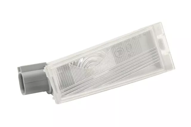 Passenger Side Rear License Plate Lamp - GM (20901148)