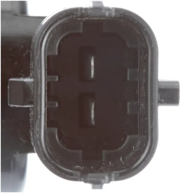 Direct Injection High Pressure Fuel Pump - DELPHI (HM10174)