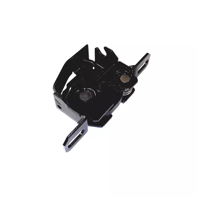 420823655 - Body: Latch for Audi: R8 Image