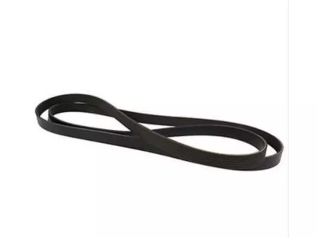 4M5Z8620AB - : Serpentine Belt for Ford: Focus Image