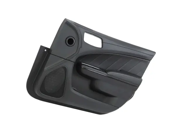 6XM922X9AC - Interior Trim: Front Door Trim Panel Assembly, Right for Dodge: Charger Image