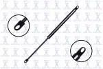 84490 - : Liftgate Lift Support for Focus Auto Parts Image