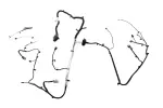 86575378 - Body: Harness for GM Image