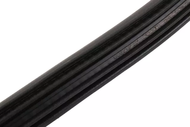 Jet Black Rear Side Door Weatherstrip - GM (84056861)