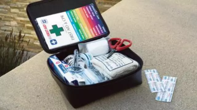 PT4200009T - Interior: First Aid Kit        for Toyota: 4Runner, Avalon, Camry, FJ Cruiser, Highlander, Land Cruiser, Prius, RAV4, Sequoia, Sienna, Tacoma, Tundra, Venza, Yaris Image