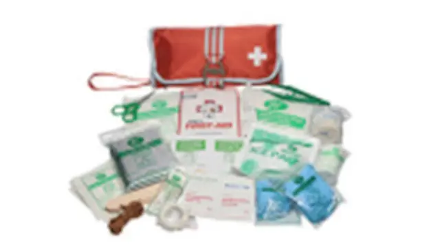 PTN598923T - Interior: Kurgo Pet First Aid Kit for Lexus: ES250, ES300h, ES350, GX550, IS300, IS350, IS500, LC500, LC500h, LS500, LS500h, LX600, LX700h, NX250, NX350, NX350h, NX450h+, RC F, RC300, RC350, RX350, RX350h, RX450h+, RX500h Image