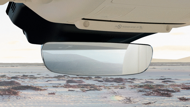 Garage Door Opener (Homelink) - Jaguar (J9C5563)