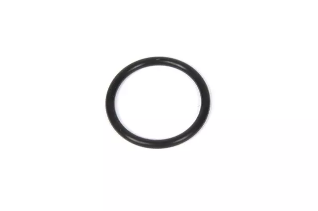 19316233 - : Engine Oil Pump Seal for Chevrolet: City Express Image