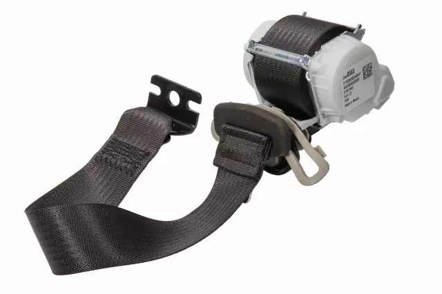 19303052 - Body: Lap &amp; Shoulder Belt for GM Image