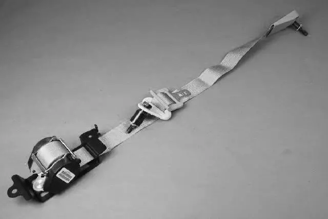 TS741D5AD - Electrical: Outer Belt for Chrysler: Pacifica Image