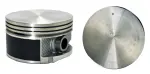 P50436100 - : Engine Piston Set for Enginetech Image
