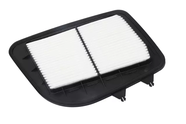 Air Filter - GM (25798271)