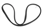 19152556 - Body: Weatherstrip for GM Image