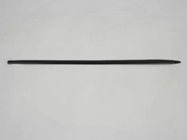 XV16TZZAA - Exterior Ornamentation: Body Side Molding, Right &amp; Left for Mopar Image