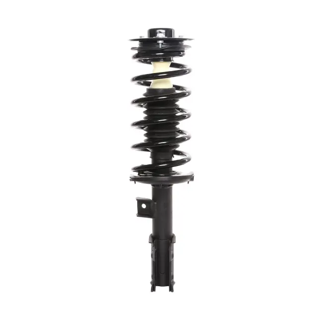 818629 - : PRT 818629 Suspension Strut and Coil Spring Assembly for PRT PERFORMANCE RIDE Image