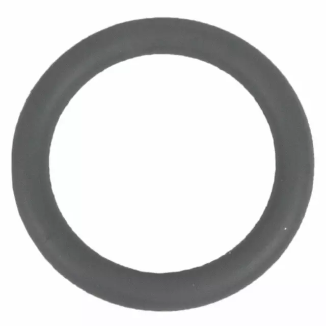 AA5Z00815A - : Return Tube O-Ring for Ford: Flex | Lincoln: MKT Image