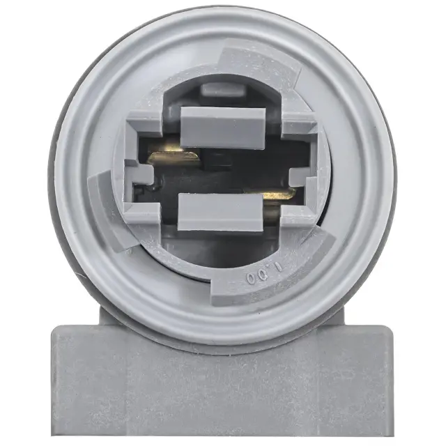 S2602 - Interior: Park and Turn Signal Socket for SMP CORP Image