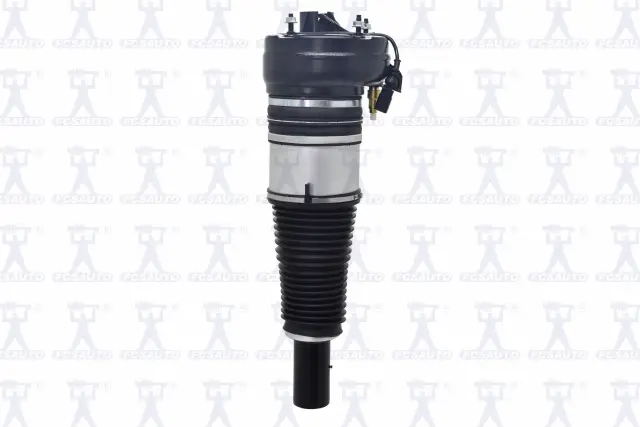 99010 - Suspension &amp; Steering: Focus Auto Parts Air Suspension Strut for Focus Auto Parts Image