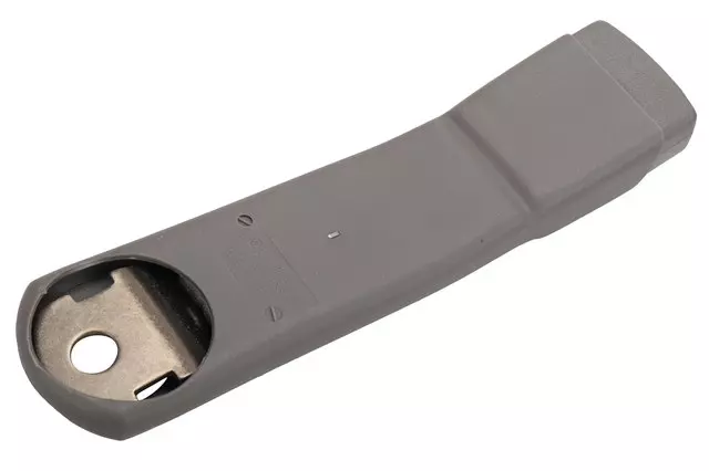 F (S)Module - GM (85737284)