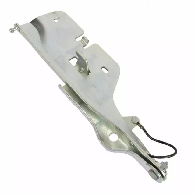 6W6Z16797AA - Body: Hinge for Ford: Thunderbird Image