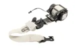 26589812 - Electrical: Belt &amp; Retractor for GM Image
