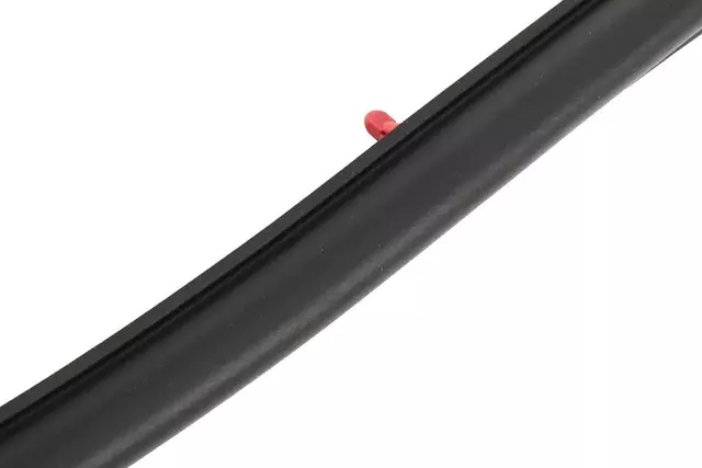 Door Weather-Strip - GM (42474603)