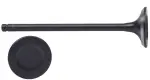 V4449 - : Engine Exhaust Valve for Enginetech Image
