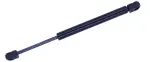 613410 - : Liftgate Lift Support for Tuff Support Image