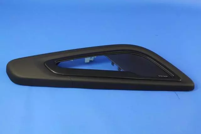 5QZ09DX9AA - Body: Door Armrest for SRT: Viper Image