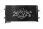 10828 - : A/C Condenser for CSF Image