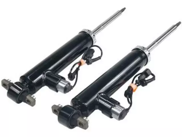 Shock Absorber - Ford (EG9Z-18125-L)