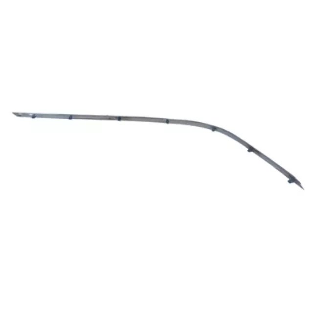 Molding Strip - Ford (3W1Z-17C830-AA)