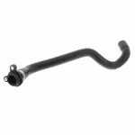 V203854 - : Radiator Hose for Vaico Image