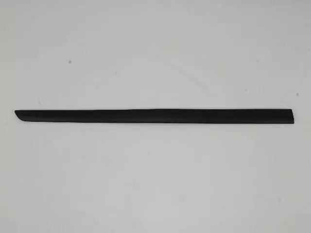 Molding - Mopar (1EX40TZZAB)