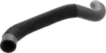 215038J110 - Cooling System: Lower Hose for Nissan: Altima, Maxima, Quest Image
