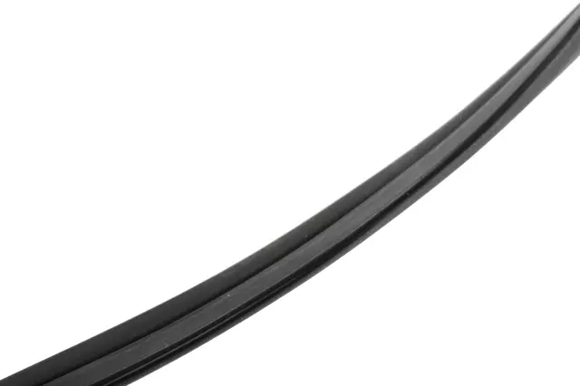 Sunroof Glass Seal - GM (15842998)