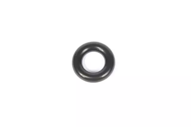 19316253 - : Fuel Injector O-Ring for Chevrolet: City Express Image