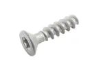 13422824 - : Front Side Door Window Regulator Motor Bolt for GM Image