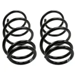 81716 - : Front Coil Spring Set for Moog Image