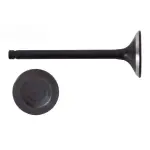 EM4505 - : Engine Exhaust Valve for Enginetech Image