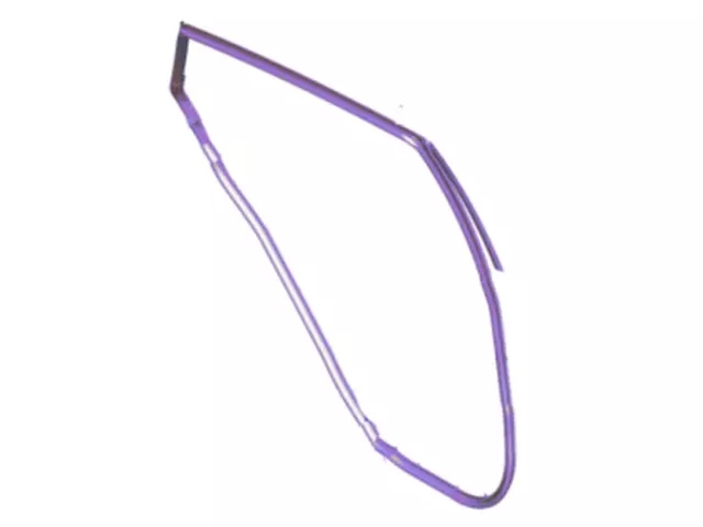 CE8Z58253A10D - : Door Weather-Strip for Ford Image