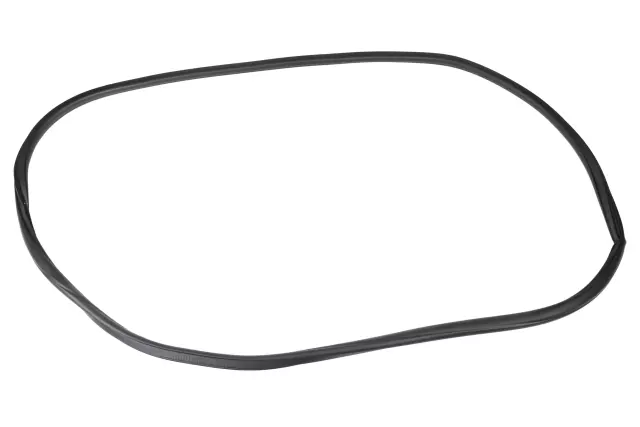 95190187 - : Passenger Side Front Door Weatherstrip for Chevrolet: Sonic Image